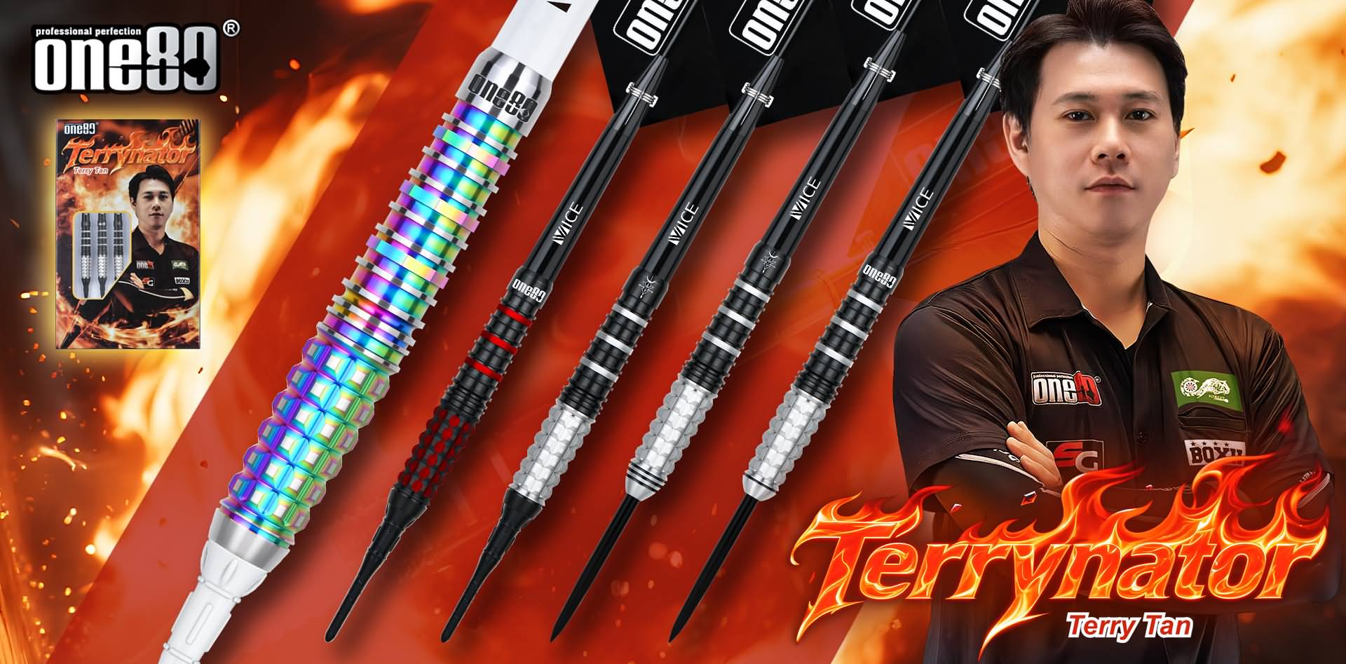 2025 Terry Tan